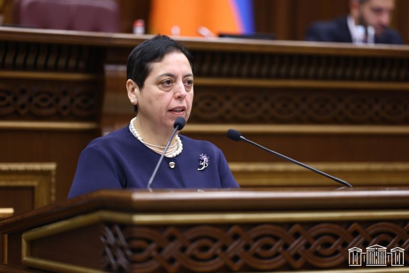 Սրբուհի Հակոբյանը ելույթ է ունենում Ազգային Ժողովում